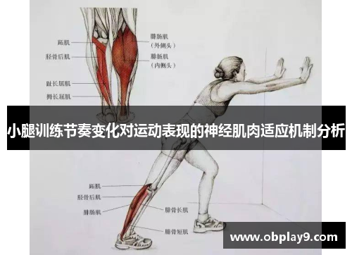 小腿训练节奏变化对运动表现的神经肌肉适应机制分析