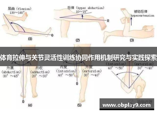 体育拉伸与关节灵活性训练协同作用机制研究与实践探索